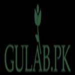 Gulab pk Profile Picture