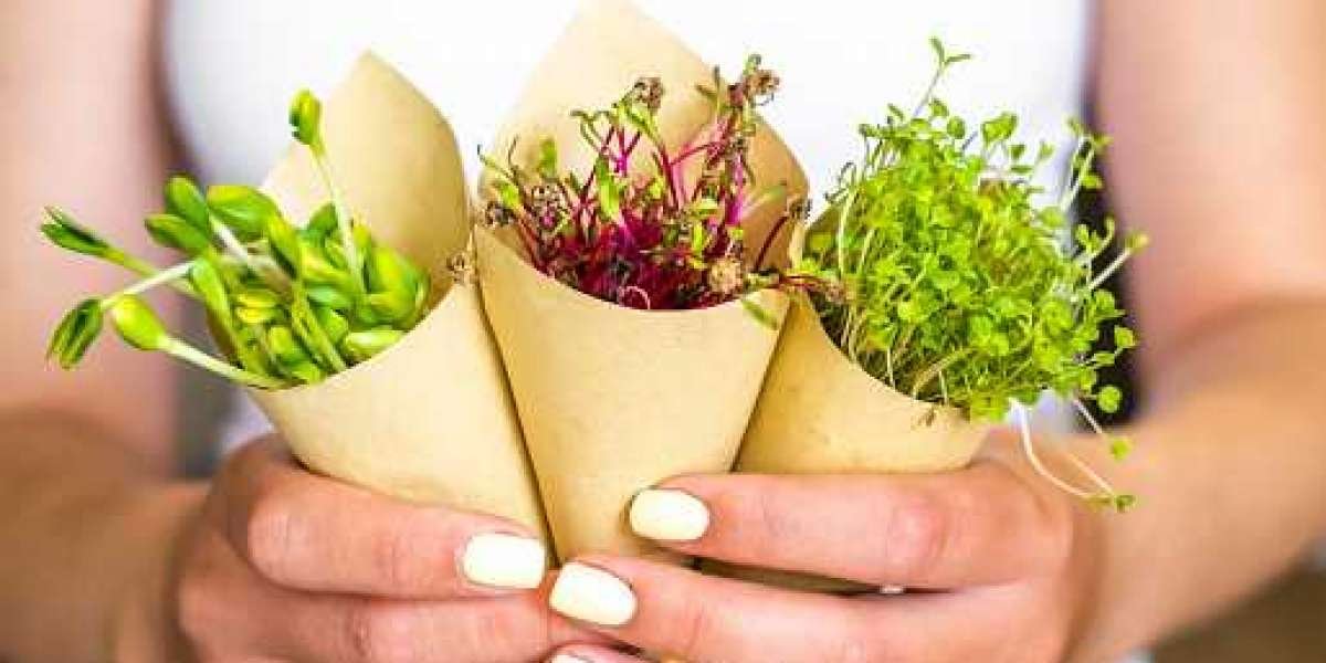 Microgreens Market Share, Regional Outlook, Growth, Key Players with Increasing Demand