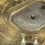 Booking for umrah Profile Picture