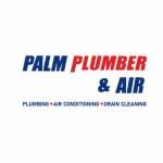 Palm Plumber Air Profile Picture