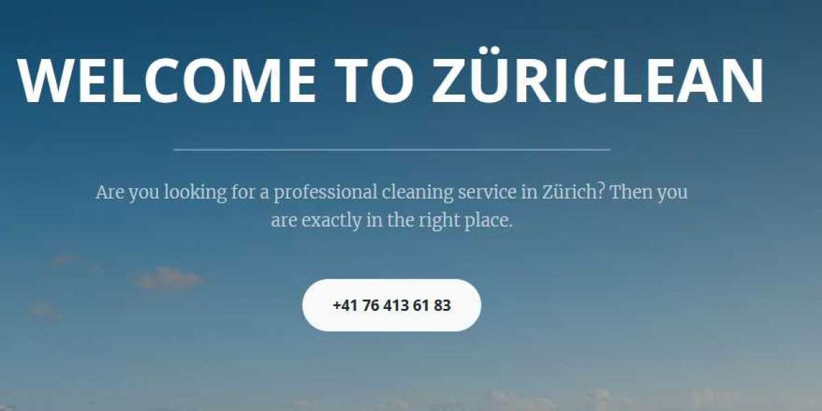 Carpet Cleaning Company in Zurich - Our Services