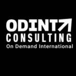 Odint consulting Profile Picture