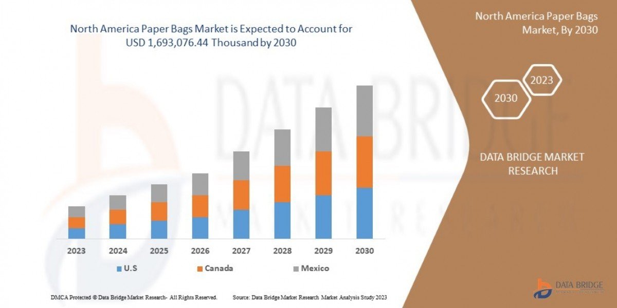 North America Paper Bags Market Dynamics: Key Factors Influencing Market Growth and Future Outlook