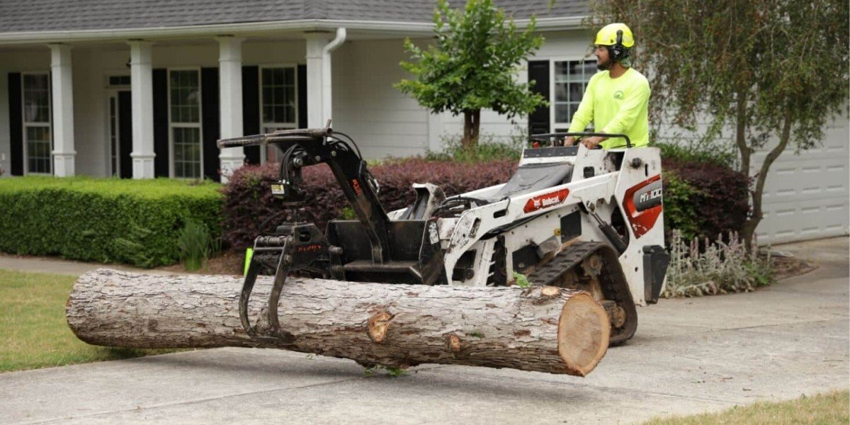 How AKA Tree Service Can Help After a Storm Disaster?
