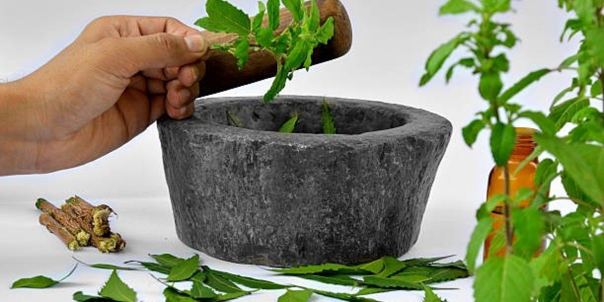 Key Neem Extract Market Players, Size & Share, Trends, Value, Analysis & Forecast 2032