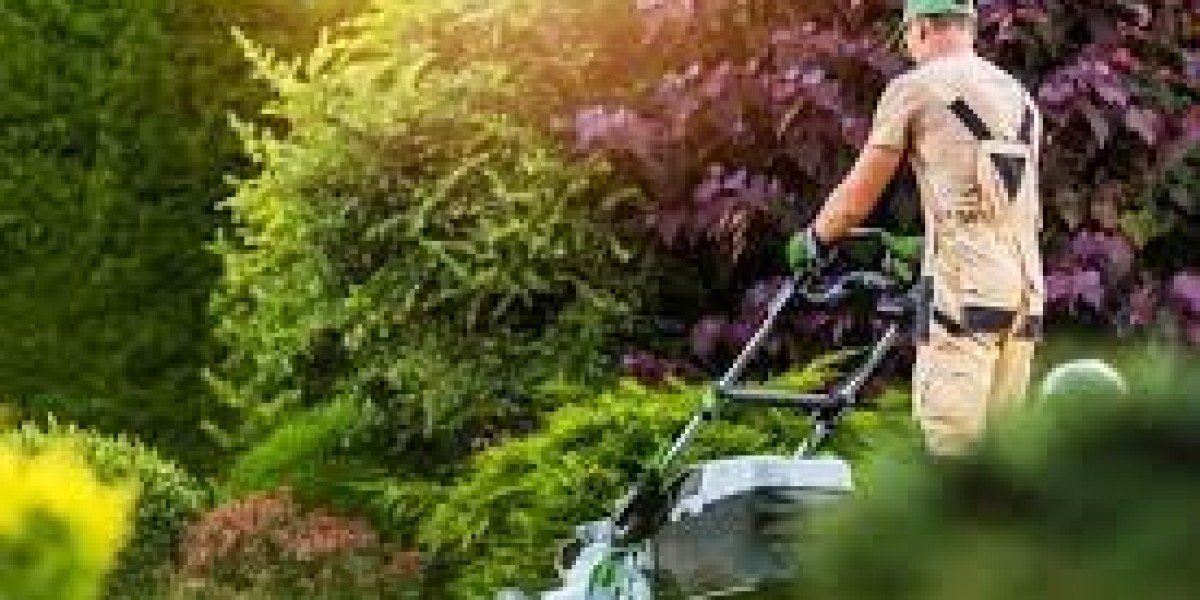Perfecting Your Green Space: The Ultimate Guide to Lawn Mowing Services in Edmonton