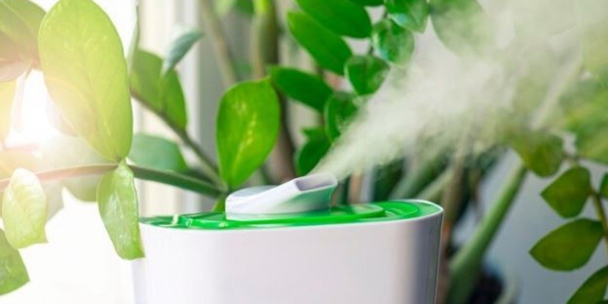 Breathe Easy: Selecting the Right Air Purifier for Your Home